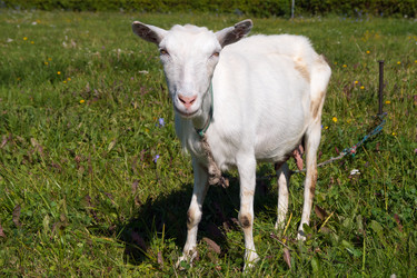 Similar image 8930344