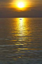 Similar image 8930360