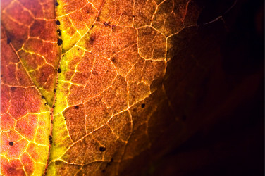 Similar image 8930380