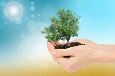 Similar image 8930479