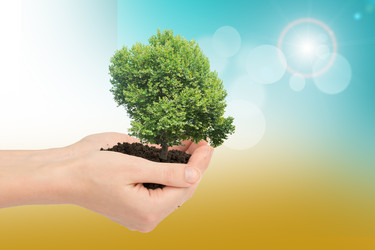 Similar image 8930480