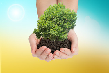 Similar image 8930483