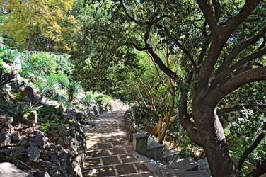 Similar image 8930573