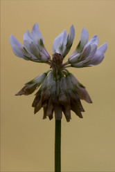 Similar image 8930578