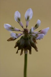 Similar image 8930584