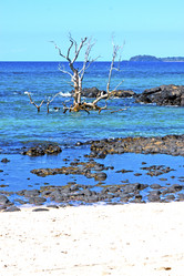 Similar image 8930585