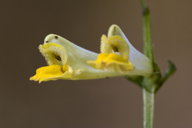 Similar image 8930617