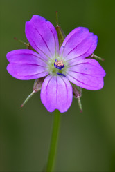 Similar image 8930620