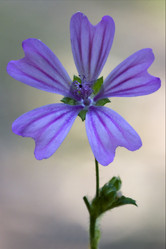 Similar image 8930646