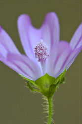 Similar image 8930654