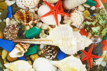 Similar image 10006423