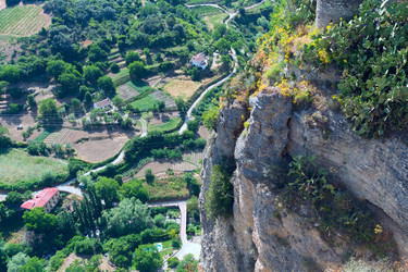 Similar image 10006706