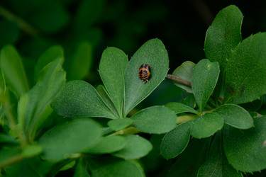 Similar image 10007369