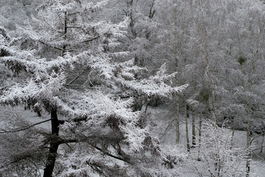 Similar image 10007373