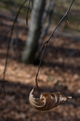 Similar image 10007472