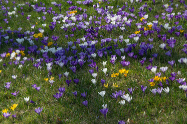 Similar image 10007475