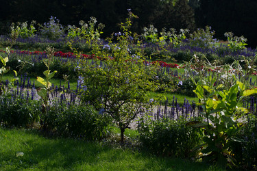 Similar image 10007484