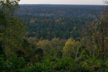 Similar image 10007538