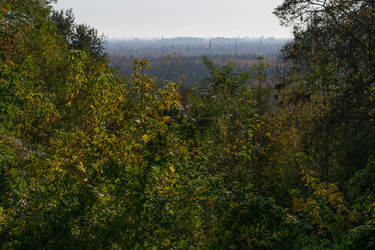 Similar image 10007541