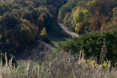 Similar image 10007557