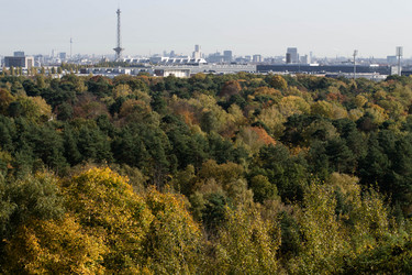 Similar image 10007562