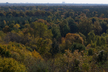 Similar image 10007564