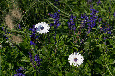 Similar image 10007566