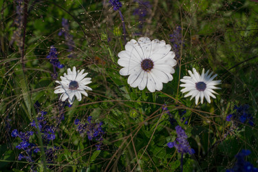 Similar image 10007571