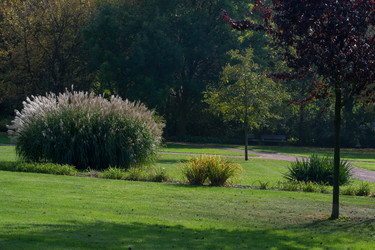 Similar image 10007573