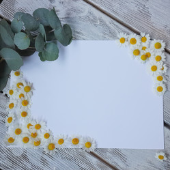 Similar image 10010748