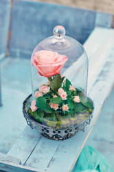 Similar image 10010849