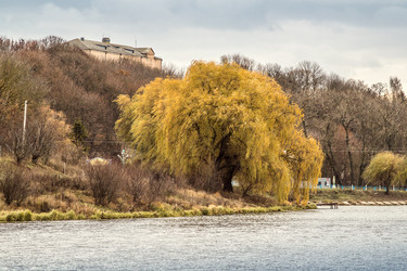 Similar image 10011254