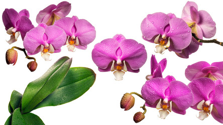 Similar image 10013425