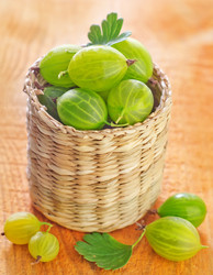 Similar image 10013480