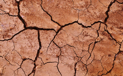 Similar image 10013815