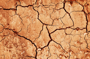 Similar image 10013818