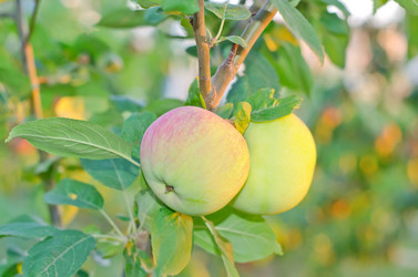 Similar image 10013820