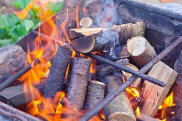 Similar image 10013822