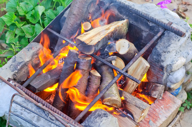 Similar image 10013825