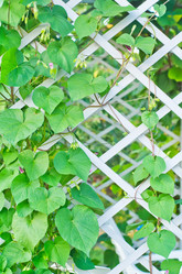 Similar image 10013826