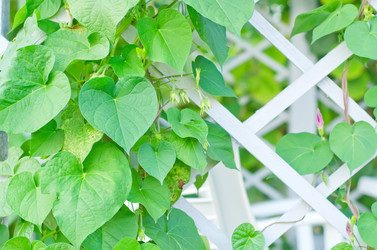 Similar image 10013828