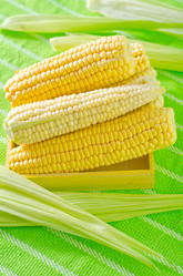 Similar image 10014311