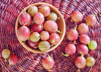 Similar image 10014322