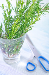 Similar image 10014326