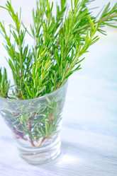 Similar image 10014327