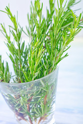 Similar image 10014329