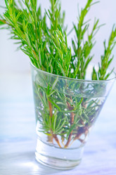 Similar image 10014333