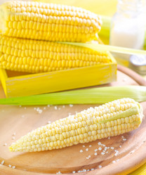 Similar image 10014448