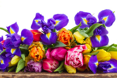 Similar image 10014608