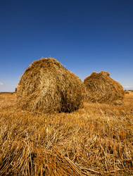 Similar image 10014612